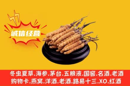 漳州市南靖回收冬虫夏草